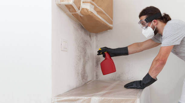 Professional Bathroom Mold Removal technician working in Arlington Heights, WA
